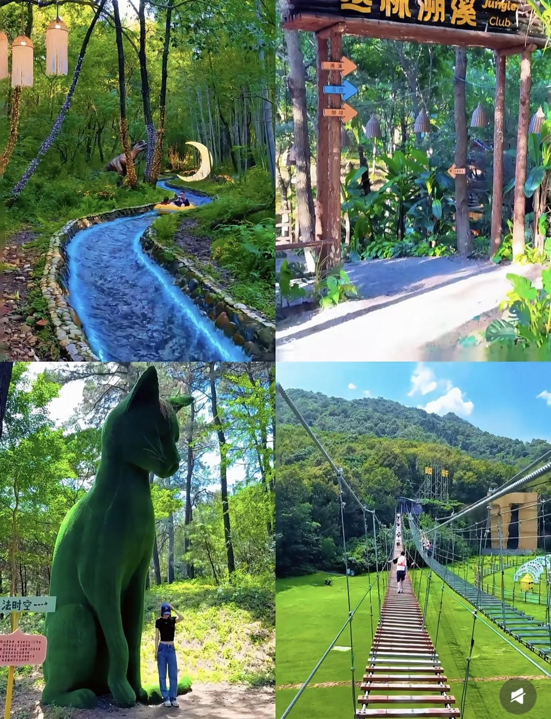 魔法黑森林 · 丛林溯溪